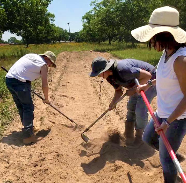 塔穆克大学的学生在种植作物前准备土壤，以获得实践经验. 