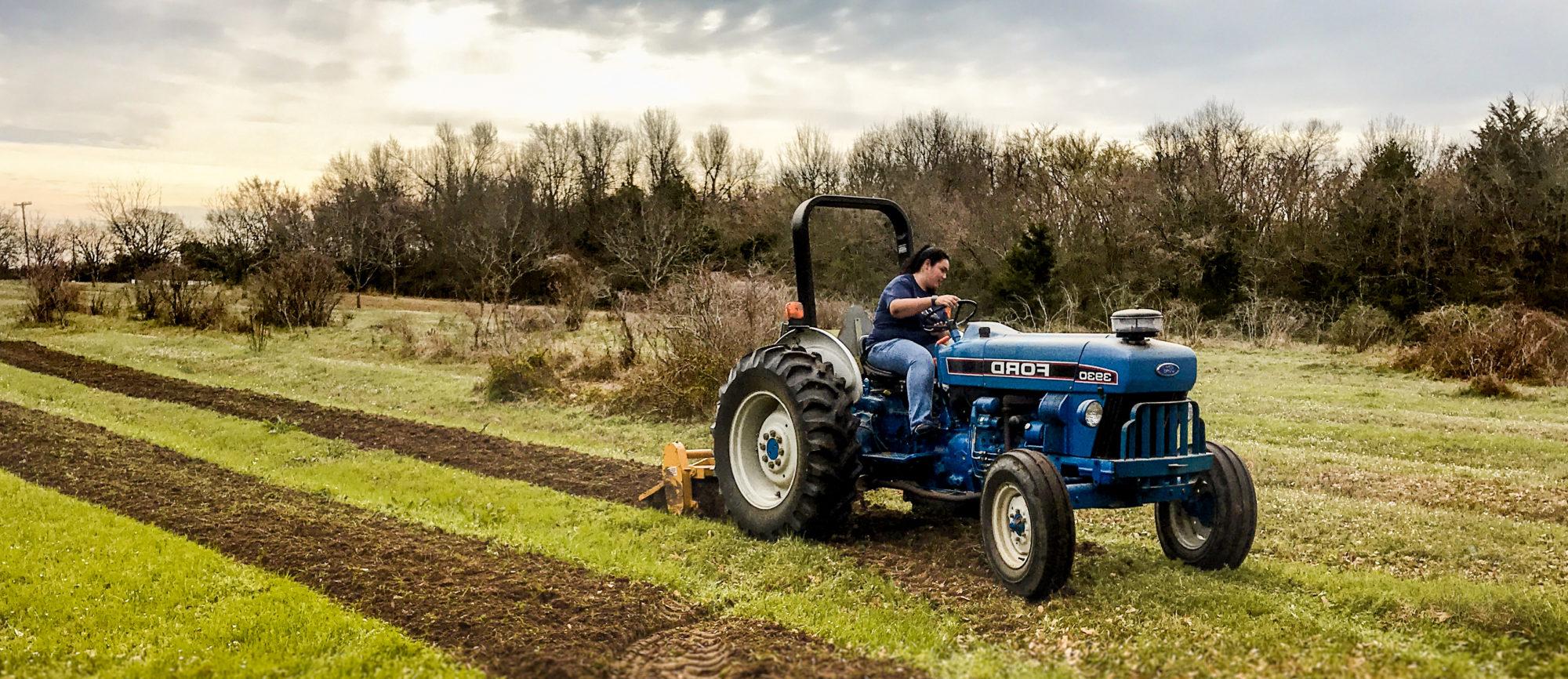 塔穆克大学的学生获得耕地的实践经验.